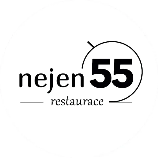 Logo Nejen55